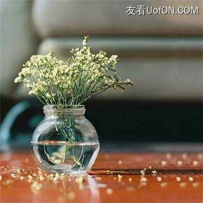 连日阴雨“偷走”好心情，吃维D有用吗